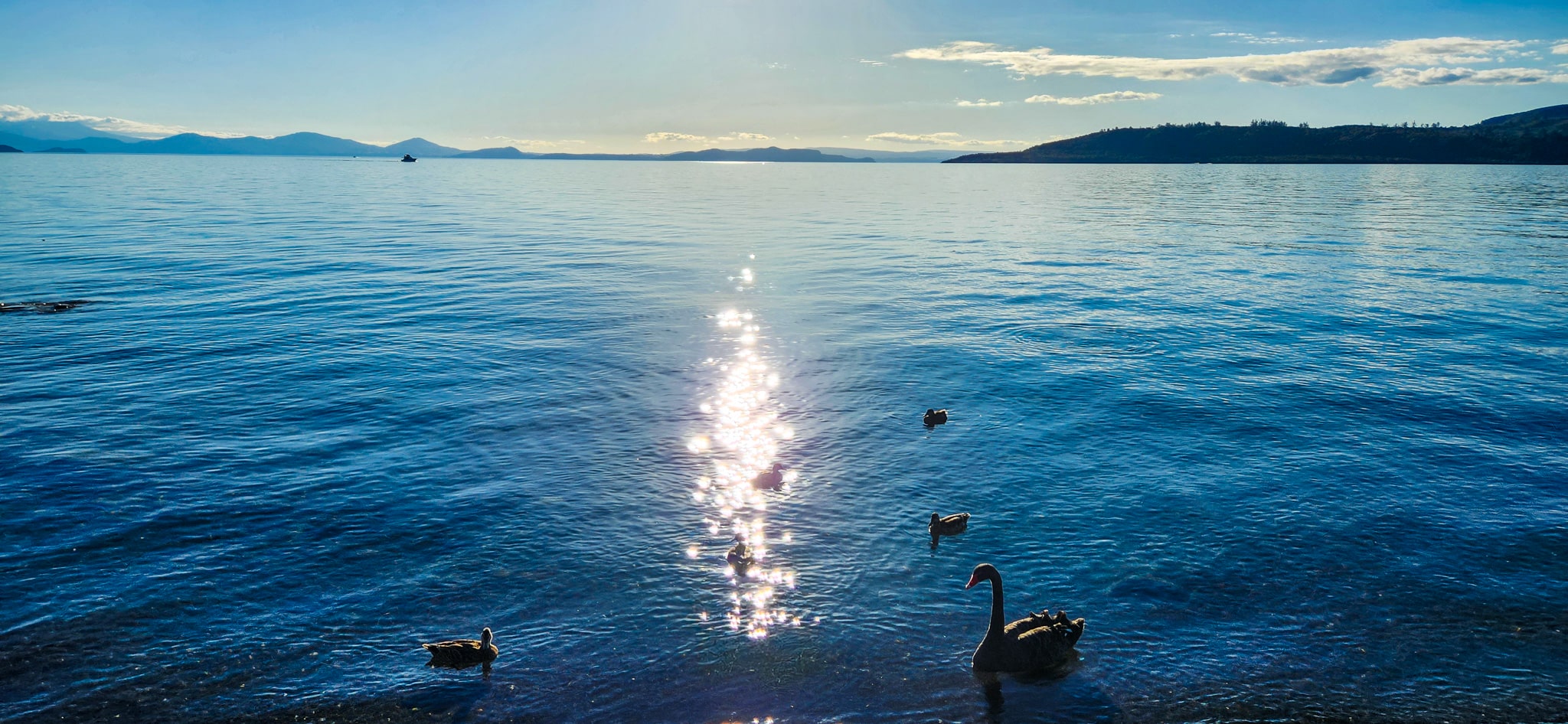 Lake Taupo in New Zealand
